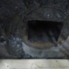 Nordson 60" Wide Sheet Die HD-40 - Image 4