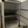Thermo Fisher Scientific 88600D Freezer