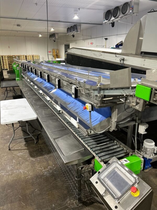 MAF Industries Rapid Pack Tilt Belt Conveyor with 10-Station Rapid Pack Table, 2021